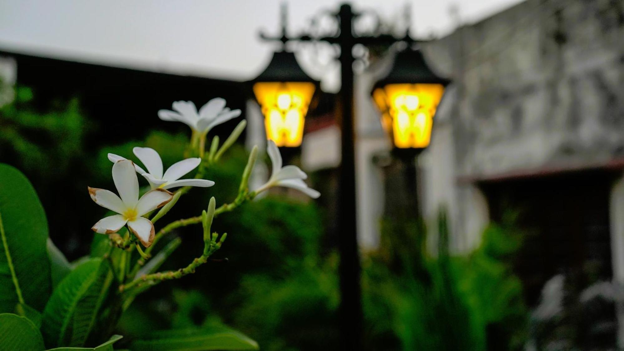 Stay Banaras - A Boutique Hotel Varanasi Dış mekan fotoğraf